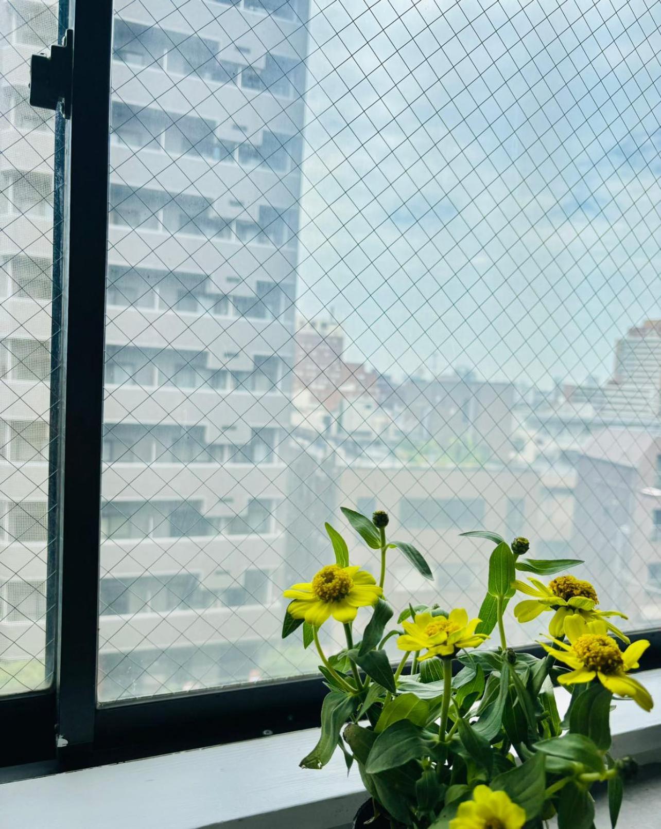 Glou Shinjuku Family Appartement *